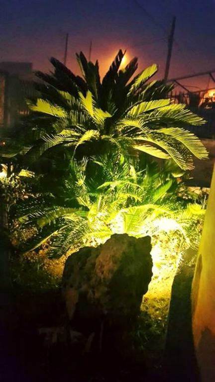 Bed and Breakfast Lo Specchio Del Salento Лечче Номер фото